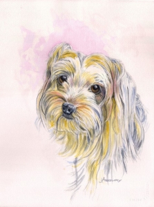 Coco-Watercolor-Art