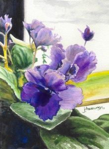 Violets-Watercolor-Art